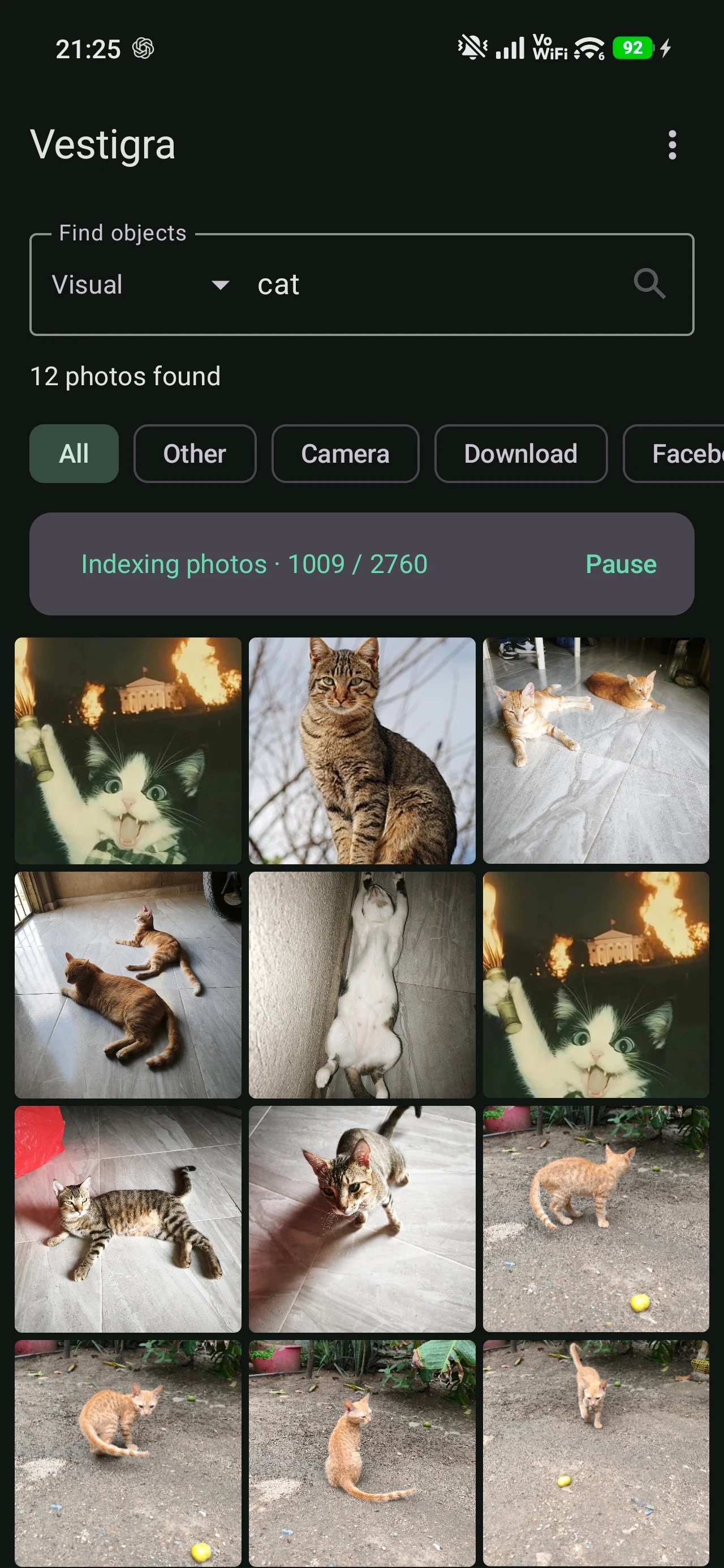 Echte visuelle Suche in Vestigra mit der Anfrage cat und zwölf gefundenen Katzenfotos.